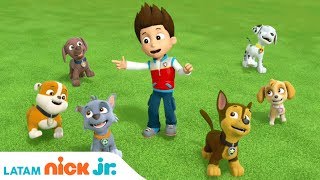 PAW Patrol | ‘Canción de la Amistad’ Video Musical  🐾 | Nick Jr. | América Latina | Español