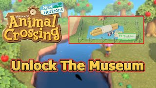 How To Unlock The Museum! - Animal Crossing: New Horizon Tips and Tricks