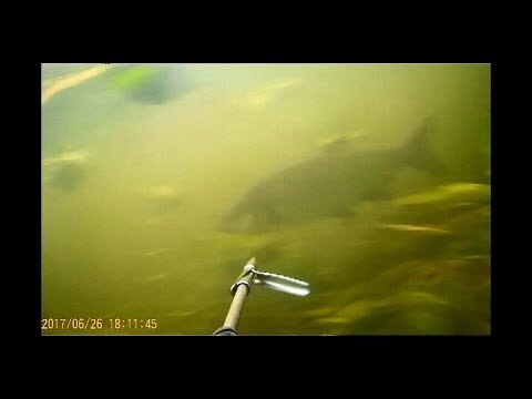 подводная охота Удачный поиск