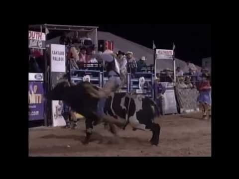 Cash bucks Ty Murray - 01 PBR Laughlin