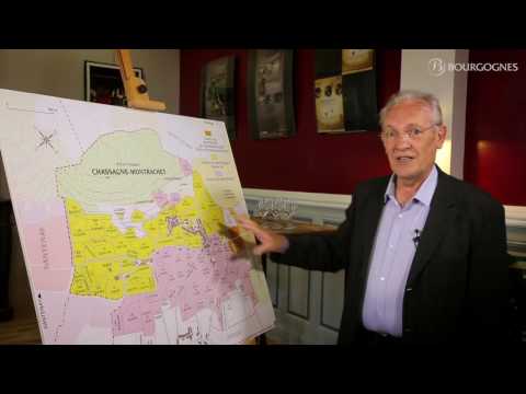 The Côte de Beaune explained by Jean-Pierre Renard