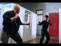 Agent Liu Jet Li Vs The Twins Cyril Raffaelli Didier Azoulay Kiss Of The Dragon