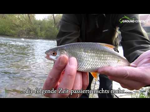 JENZI 2014 - Stipp- und Grundfischen auf Weißfisch am Fluss (full-hd)