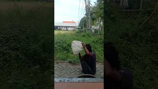 Download lagu Wong edan kui bebas#hiburan #wongedanbebas #pakjenggotbakuljajan mp3