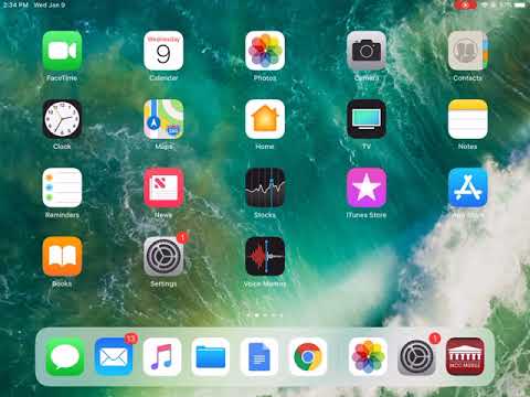 Controlling the Media and Ringer Volume on the iPad