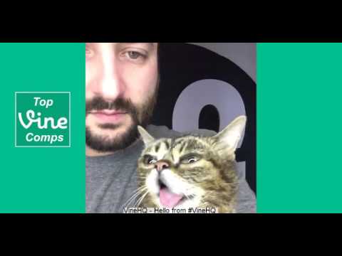 Most Popular Vines December 2015 Part 1 - With Captions