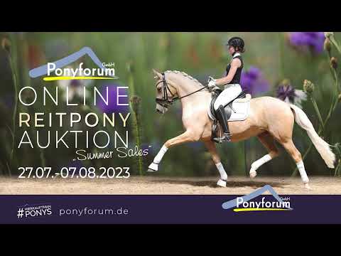 Steverheids Donovan Wallach 2017 v. Golden Dime / Werwolf