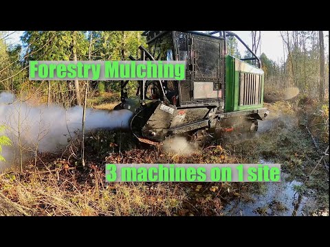 Video: Land Clearing Olympia, WA