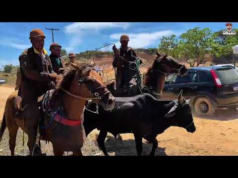 VAQUEJADA DE CICERO • NEÓPOLIS/SERGIPE 🌵💥(PARTE 1)