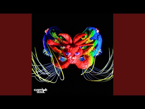 Narayan (Extended Mix)