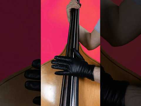 Did you know that Godzilla's voice is actually a bass?! #bass #bassguitar #godzilla #godzillavskong