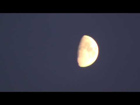 MongoTV_1510 - Mongo Space - Kigger På Flot HALV MÅNE og Snakker Lidt - Godnat og Sov Godt