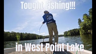 Tough Fishing in West Point Lake/6月のWest Point Lakeはタフだった！