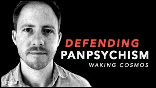 Defending Panpsychism | Philip Goff Ph.D. on Waking Cosmos