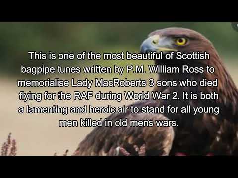 The Flight of the Eaglets