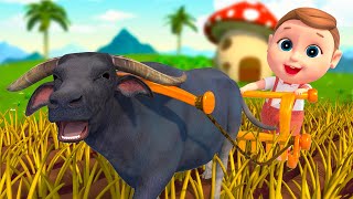 Royal Nursery Rhymes
