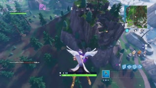 ［フォートナイト]暇潰し