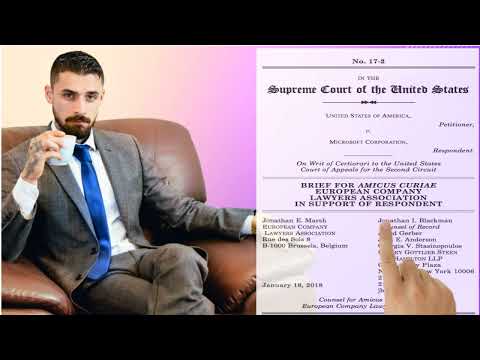 Understanding Amicus Curiae Briefs: The Power of Public Influence