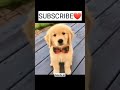 VID 20220724 WA0012