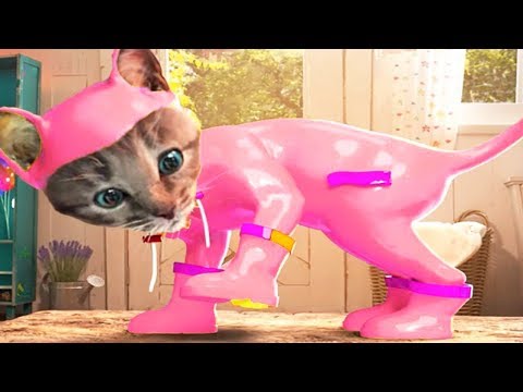 Fun Pet Animals Care Kids Games - Little Kitten Adventure - Kids Learn Colors,Puzzles,  Mini Games