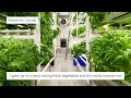 Diversifying Your Farm Through Hydroponics