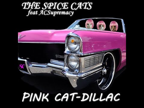 The Spice Cats (cats music group) Pink Cat-dilla / 6th song !