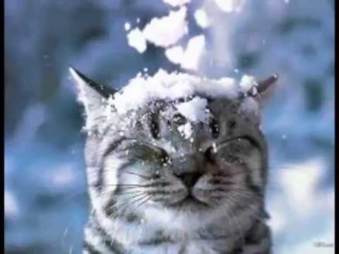 Happy Hardcore January 2015 Mix Dj Journiee