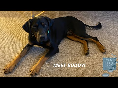 Welcome Buddy!