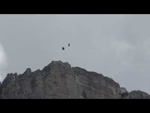 Dani Roman and Sebastian Alvarez // Wingsuit Base Jump