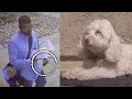 Postal Worker Caught Apparently Spraying Dog