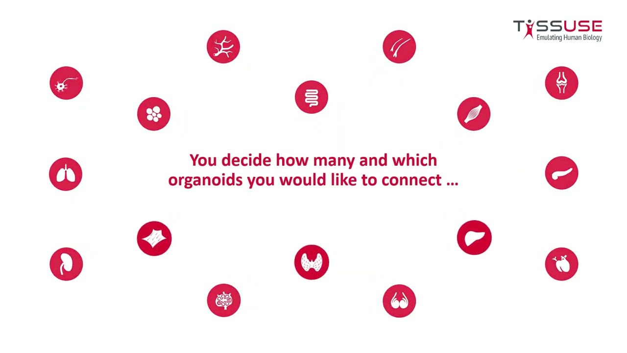 TissUse Multi-Organ-Chip 介紹影片縮圖