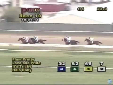 2011 Cotillion Stakes - Plum Pretty