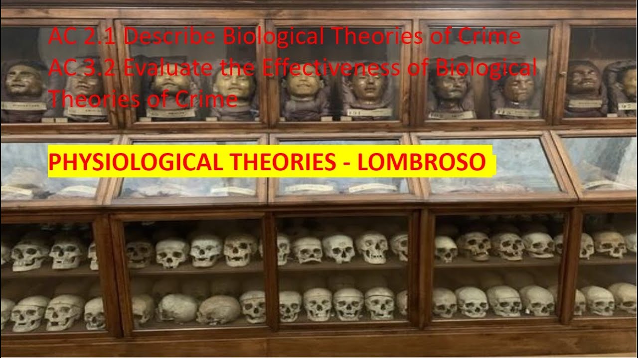 Exploring Lombroso S Biological Theories Of Crime A Historical