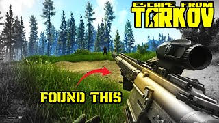 TROUBLE IN THE WOODS - Escape From Tarkov (Sniper Cat & Mouse)