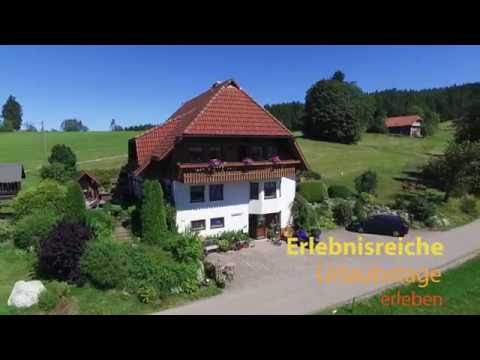 Ferienwohnungen Kieningerhof im Schwarzwald