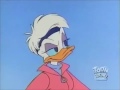 Quck Pack Daisy Duck Tickled