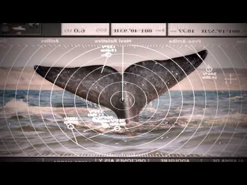 Fernando Ubiergo - "Agualuna"    (¿Por qué? ¿Por qué?)  OTI  1984