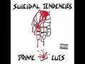 Suicidal Tendencies- I Saw Your Mommy 