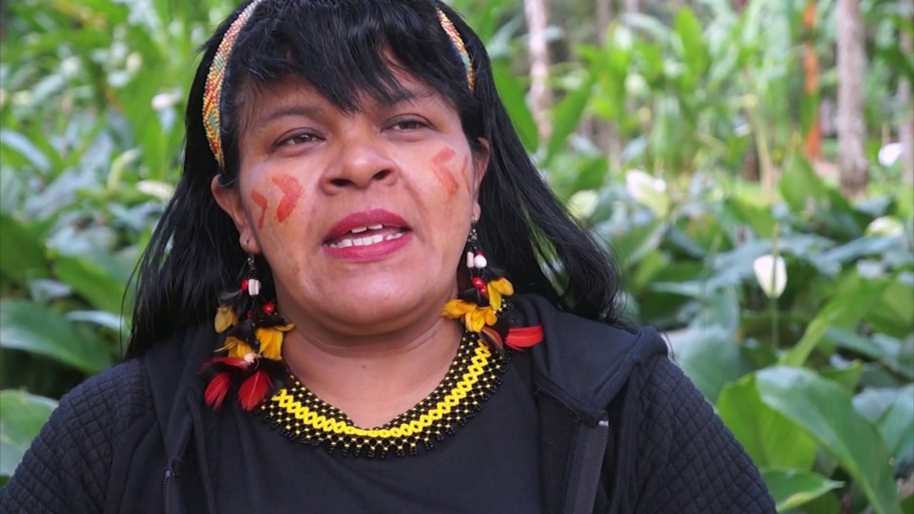 Arquivos Sônia Guajajara Uma Gota no Oceano ONG de divulgação de