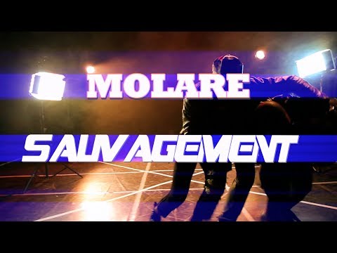 TEASER MOLARE "SAUVAGEMENT" Officiel HD