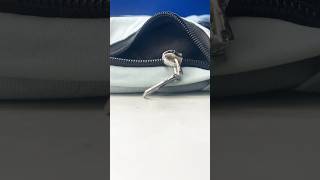 Download lagu How to Quickly Repair a Broken Zipper: Simple Fix in Minutes mp3