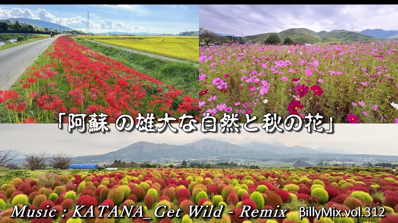 【阿蘇 の雄大な自然と秋の花】KATANA_Get Wild  REMIX / βillyMix.vol.312