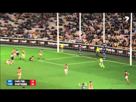 Round 13 AFL - Carlton v Hawthorn Highlights