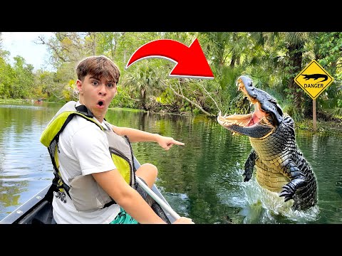 We Swam With Wild Alligators on My 15th Birthday