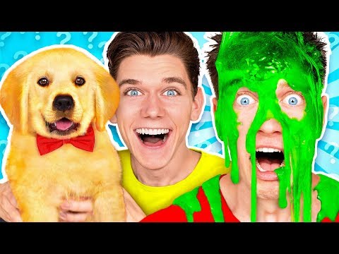 Dogs Pick our Mystery Slime Challenge! Learn How To Make the Best DIY Funny Switch Up Oobleck Game Video
