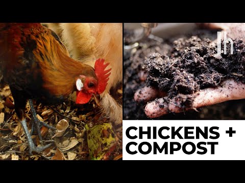 鶏の糞は実はとても役に立つんです