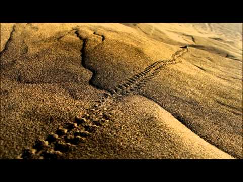 Vansam - Shadow Of The Desert (Ozgur Ozkan Remix)