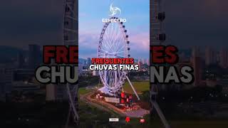 Curiosidades sobre São Paulo. #curiosidades #brasil