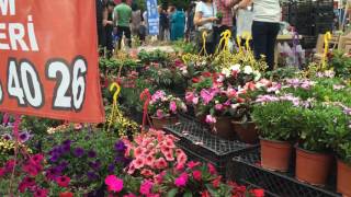 12. Antalya Çiçek Festivali