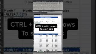 Radio buttons. Cool way to filter your data by the click of a button. - Excel Xpert tutorial video